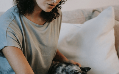 Taking Your Creative Work to the Next Level — Start a Small Business